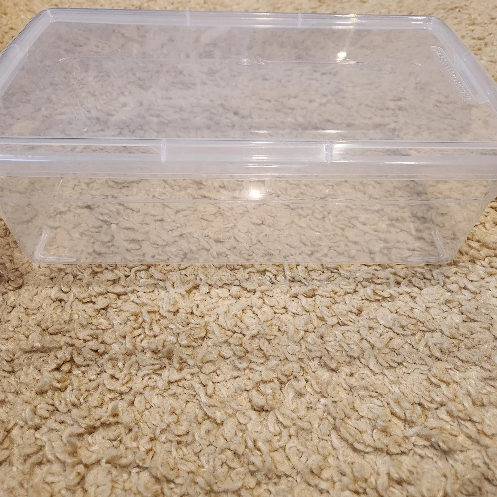 ***BUNDLE, CONTAINER STORE SHOE BOX***